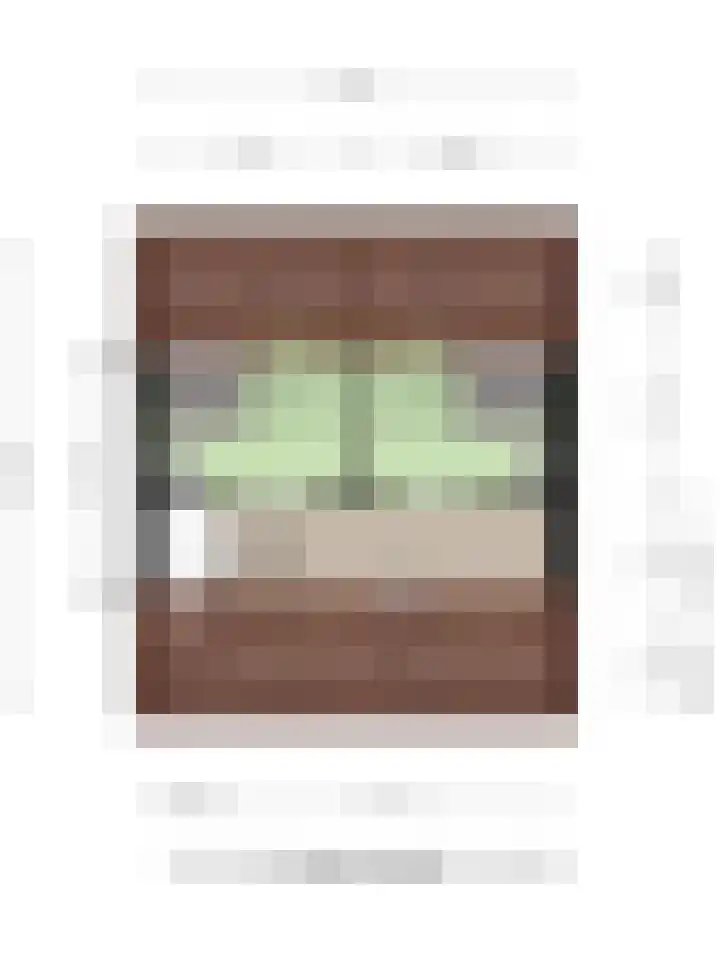 Eikvaren 4 Deventer thumbnail 36