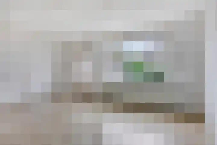 Eikvaren 4 Deventer thumbnail 4