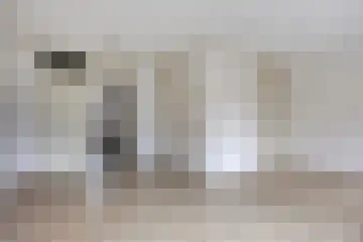 Eikvaren 4 Deventer thumbnail 6