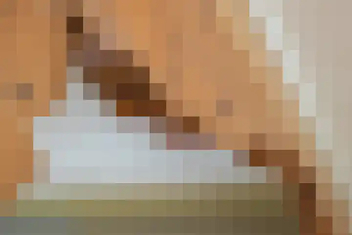 Eikvarenlaan 4 Eindhoven thumbnail 12
