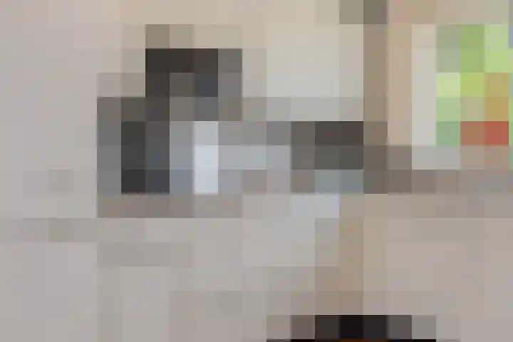 Eikvarenlaan 4 Eindhoven thumbnail 15