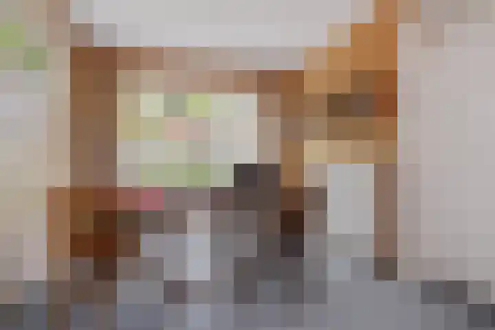 Eikvarenlaan 4 Eindhoven thumbnail 18