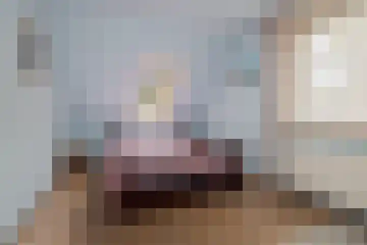 Eikvarenlaan 4 Eindhoven thumbnail 23