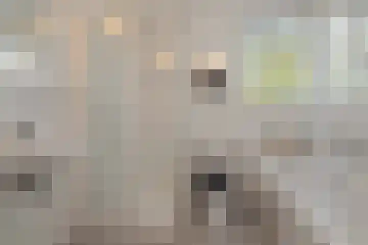 Eikvarenlaan 4 Eindhoven thumbnail 28