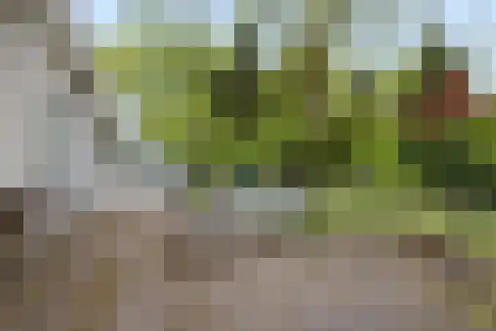 Eikvarenlaan 4 Eindhoven thumbnail 30