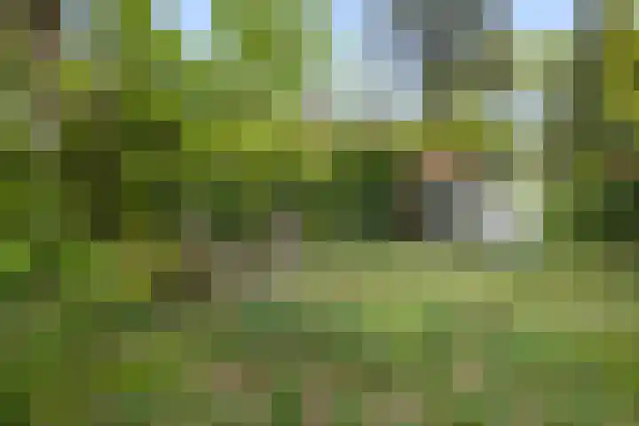 Eikvarenlaan 4 Eindhoven thumbnail 31