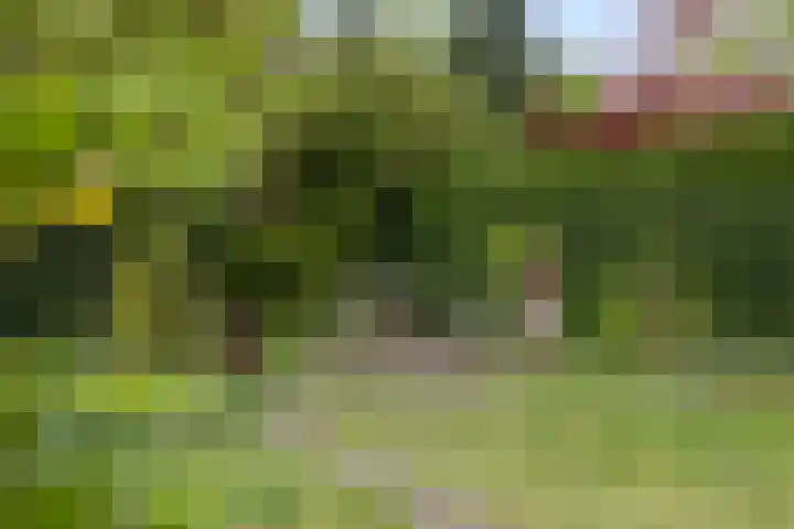 Eikvarenlaan 4 Eindhoven thumbnail 32