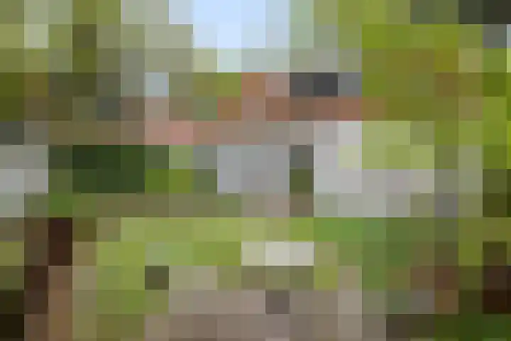 Eikvarenlaan 4 Eindhoven thumbnail 33