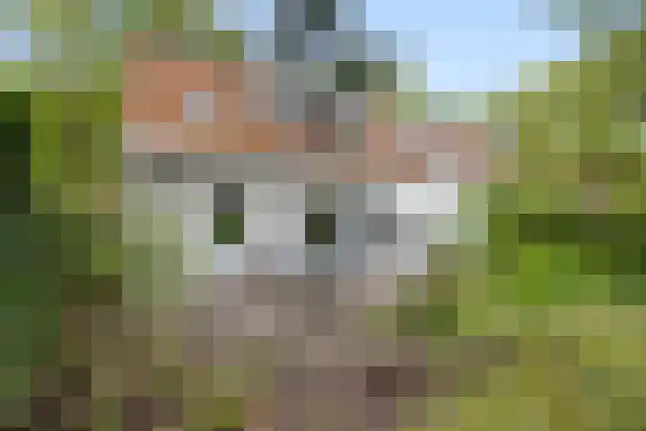 Eikvarenlaan 4 Eindhoven thumbnail 34