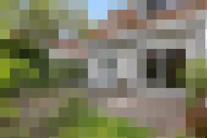 Eikvarenlaan 4 Eindhoven thumbnail 35