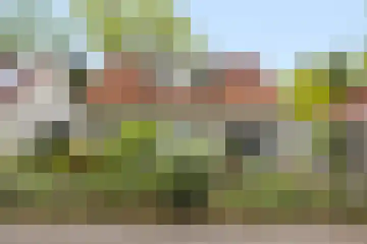 Eikvarenlaan 4 Eindhoven thumbnail 37