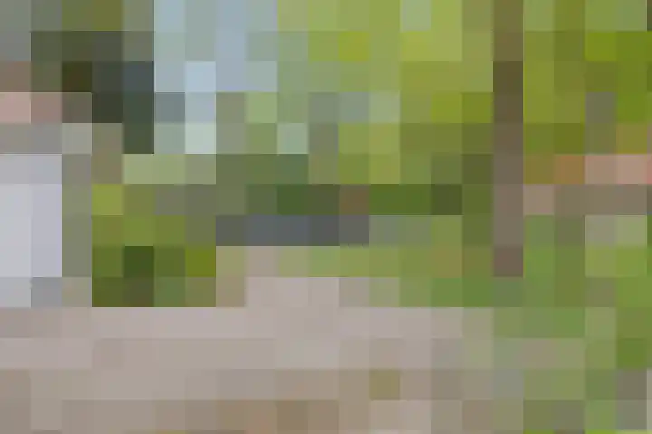 Eikvarenlaan 4 Eindhoven thumbnail 39