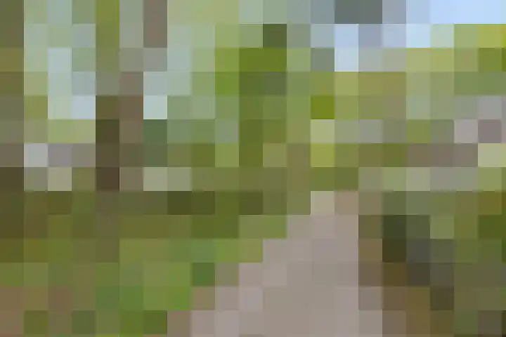Eikvarenlaan 4 Eindhoven thumbnail 40