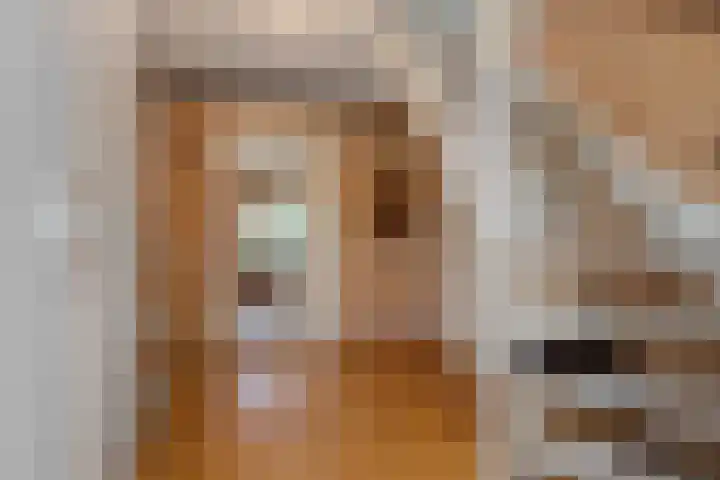 Eikvarenlaan 4 Eindhoven thumbnail 6
