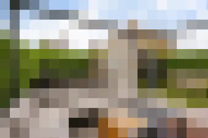 Eiland 1 Maassluis thumbnail 35