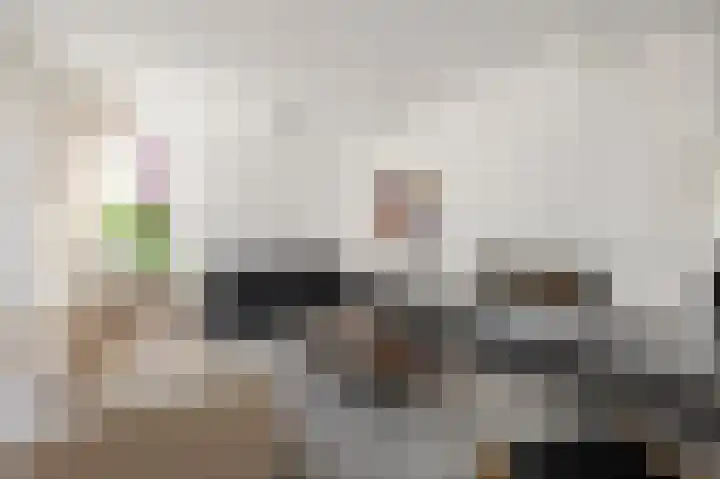 Eiland 10 Stevensweert thumbnail 12