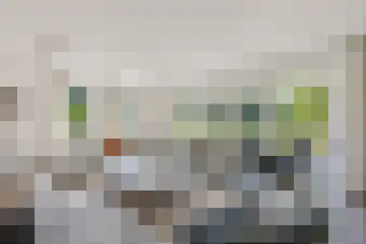 Eiland 10 Stevensweert thumbnail 14