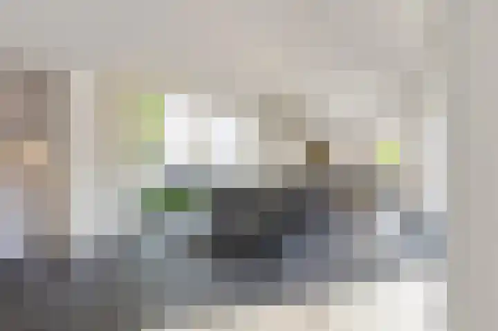 Eiland 10 Stevensweert thumbnail 18