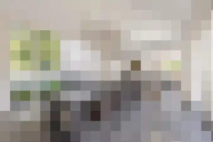 Eiland 10 Stevensweert thumbnail 19