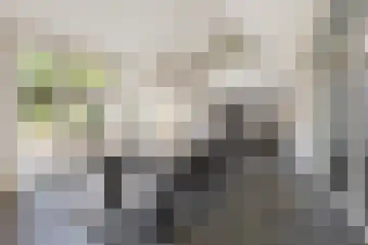 Eiland 10 Stevensweert thumbnail 20