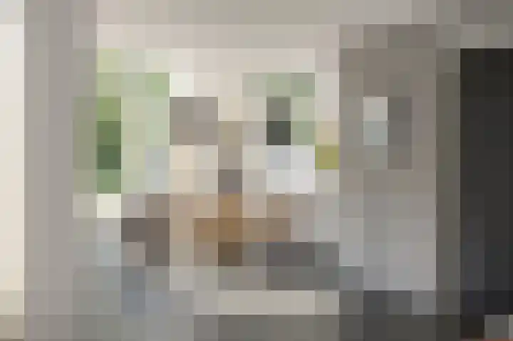 Eiland 10 Stevensweert thumbnail 22