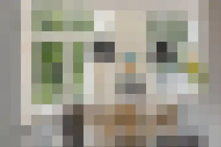 Eiland 10 Stevensweert thumbnail 23