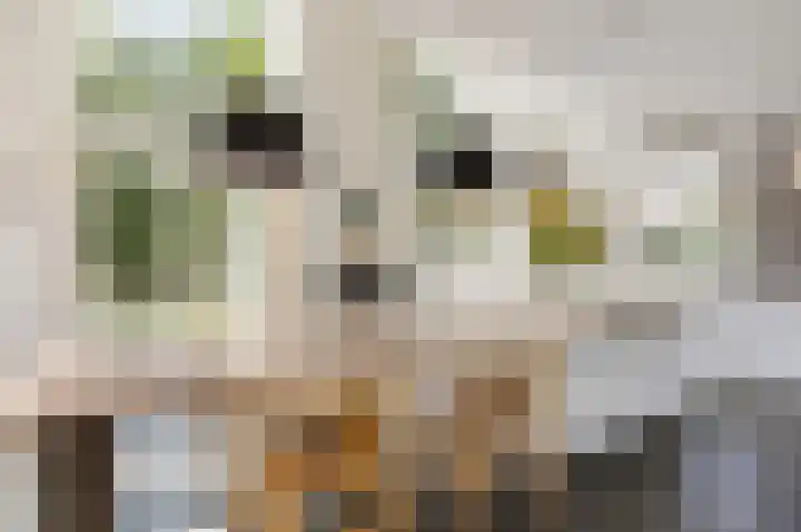 Eiland 10 Stevensweert thumbnail 25