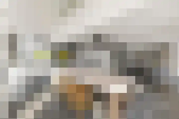 Eiland 10 Stevensweert thumbnail 26