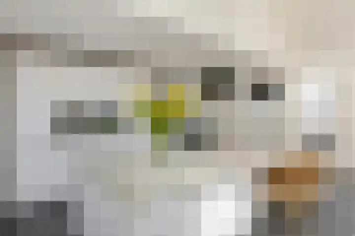 Eiland 10 Stevensweert thumbnail 28