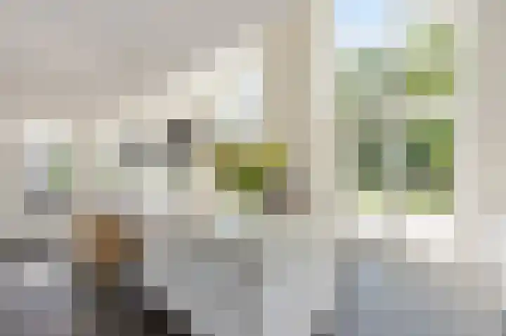 Eiland 10 Stevensweert thumbnail 29