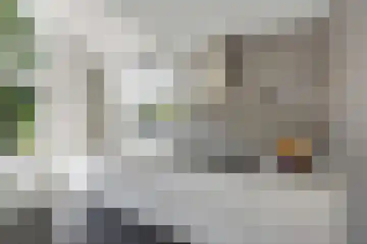 Eiland 10 Stevensweert thumbnail 30
