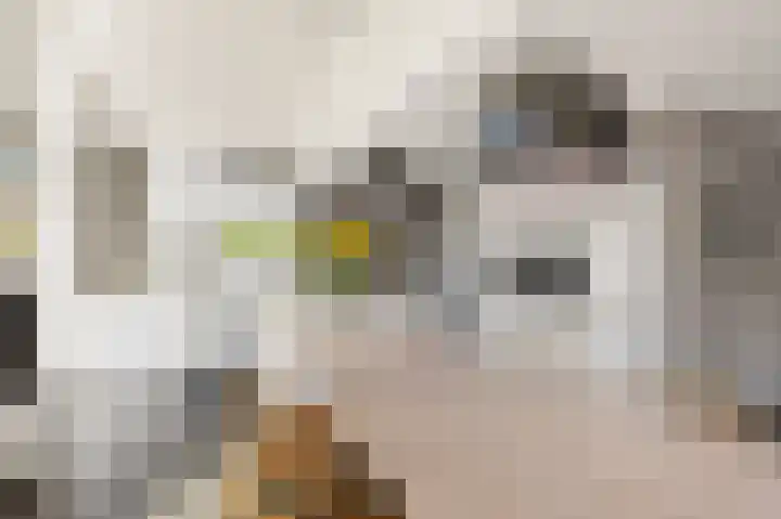Eiland 10 Stevensweert thumbnail 31