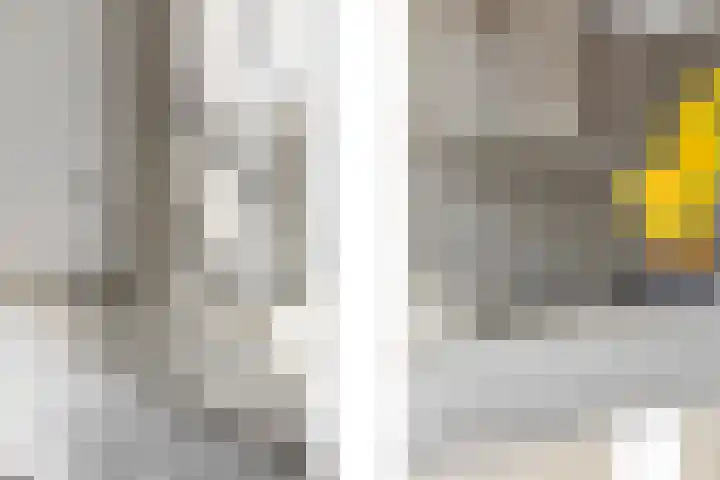 Eiland 10 Stevensweert thumbnail 33