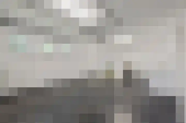 Eiland 10 Stevensweert thumbnail 37