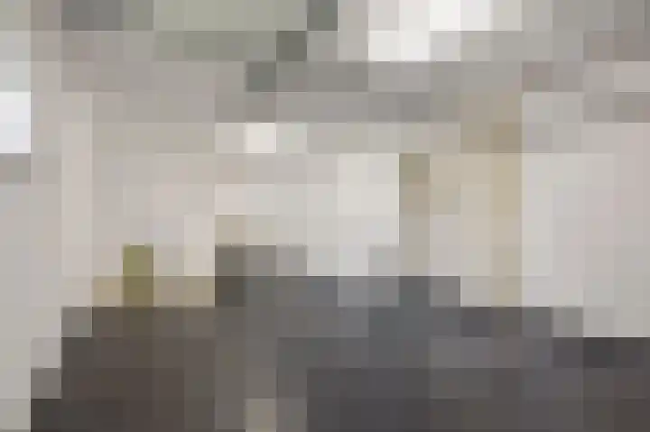 Eiland 10 Stevensweert thumbnail 38