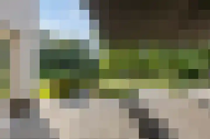 Eiland 10 Stevensweert thumbnail 4