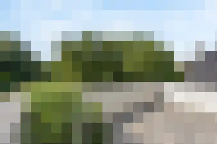 Eiland 10 Stevensweert thumbnail 48