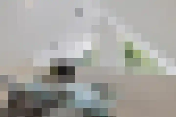 Eiland 10 Stevensweert thumbnail 57