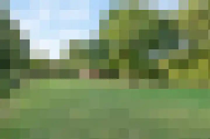 Eiland 10 Stevensweert thumbnail 65