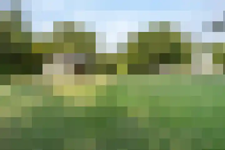 Eiland 10 Stevensweert thumbnail 66