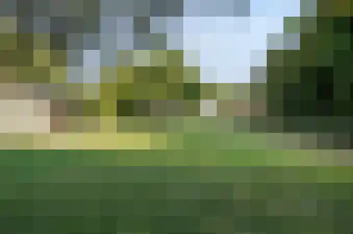 Eiland 10 Stevensweert thumbnail 67