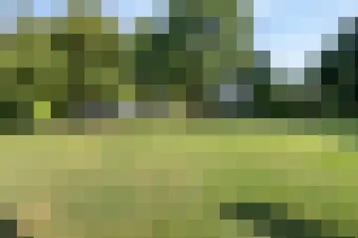 Eiland 10 Stevensweert thumbnail 68