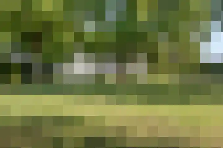 Eiland 10 Stevensweert thumbnail 69