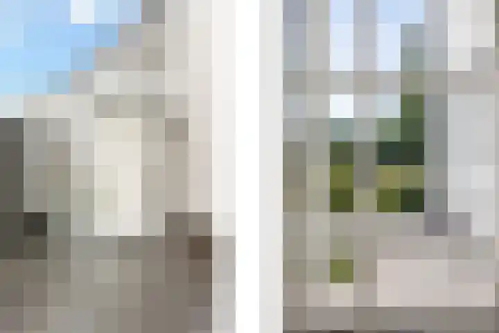 Eiland 10 Stevensweert thumbnail 7