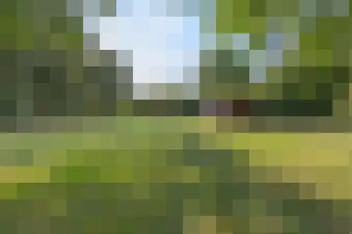 Eiland 10 Stevensweert thumbnail 70