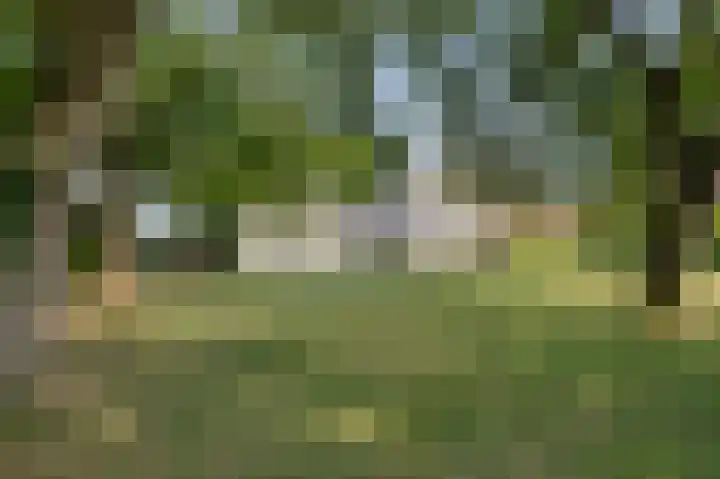 Eiland 10 Stevensweert thumbnail 71