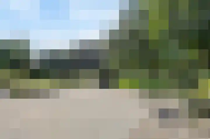 Eiland 10 Stevensweert thumbnail 72