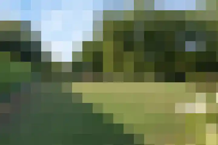Eiland 10 Stevensweert thumbnail 75