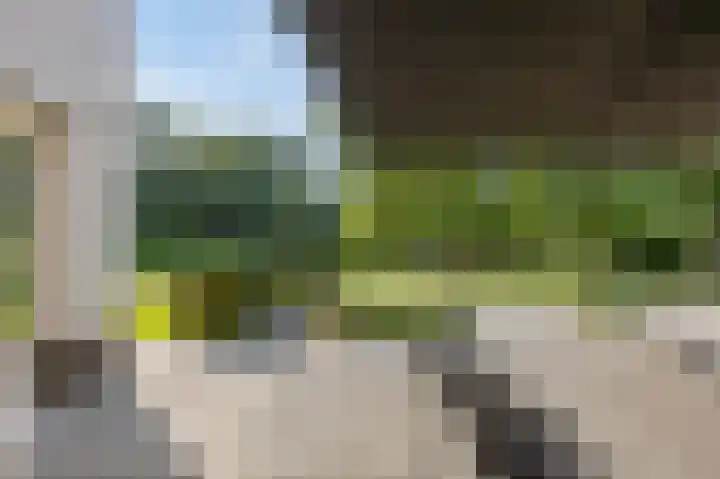 Eiland 10 Stevensweert thumbnail 76