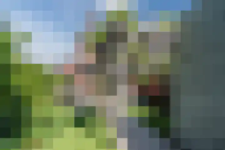 Eiland 15 Maassluis thumbnail 49